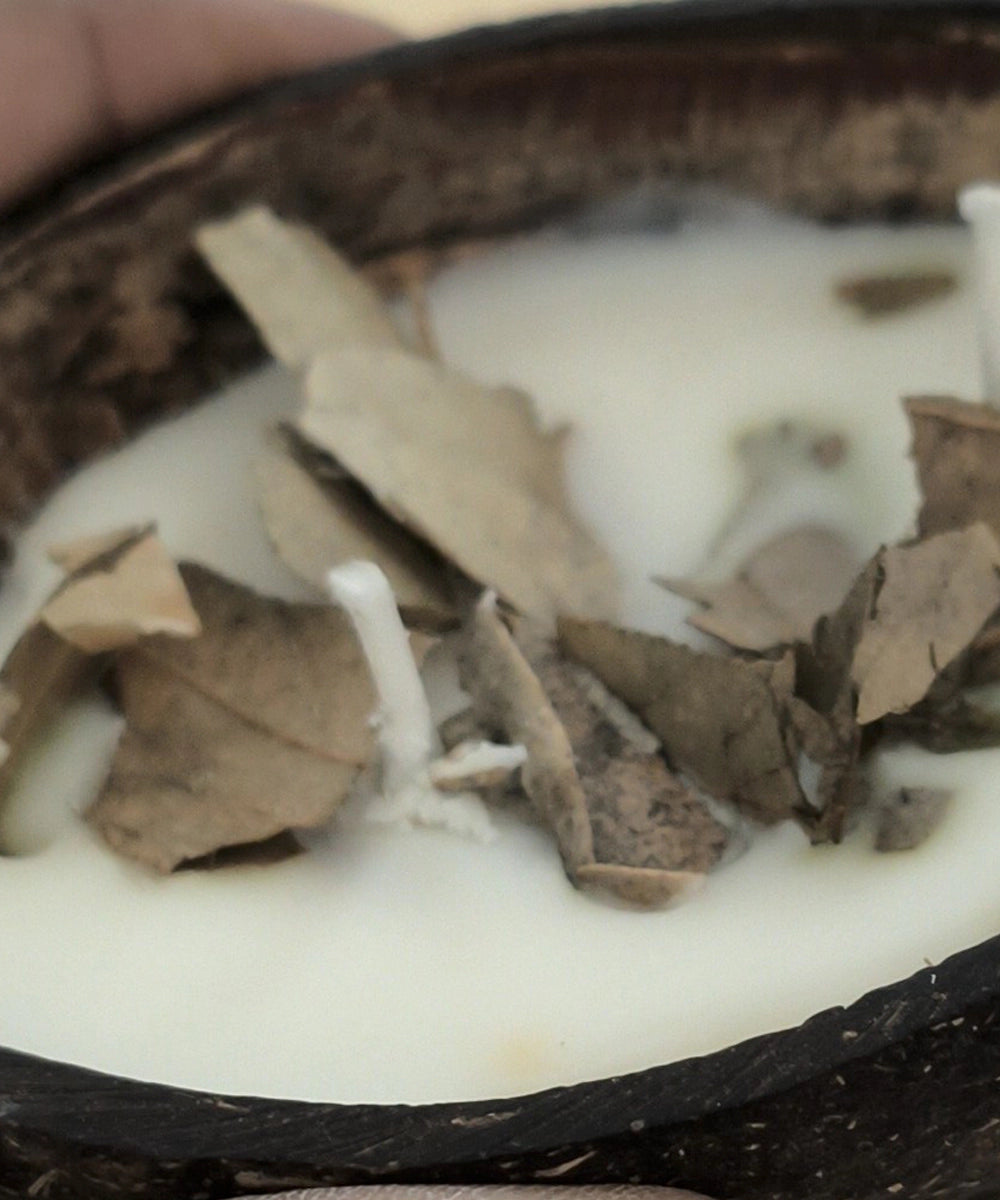 Cinnamon Coconut Shell Soy Wax Candle | 20 Burning Hours